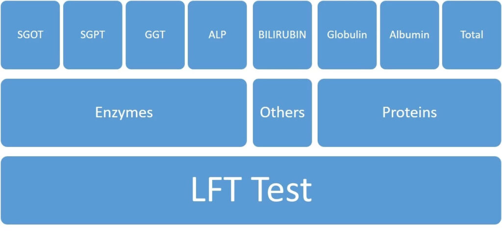 लिवर फंक्शन टेस्ट  (LFT)